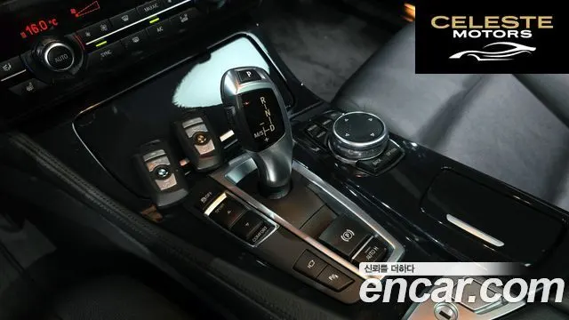 BMW Série 5 (F10) 520d M Aéro Dynamic 2016 — photo 9 sur 20