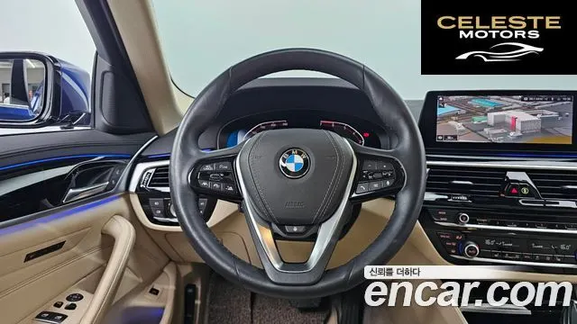 BMW Série 5 (G30) 520i Luxury 2020 — photo 13 sur 20