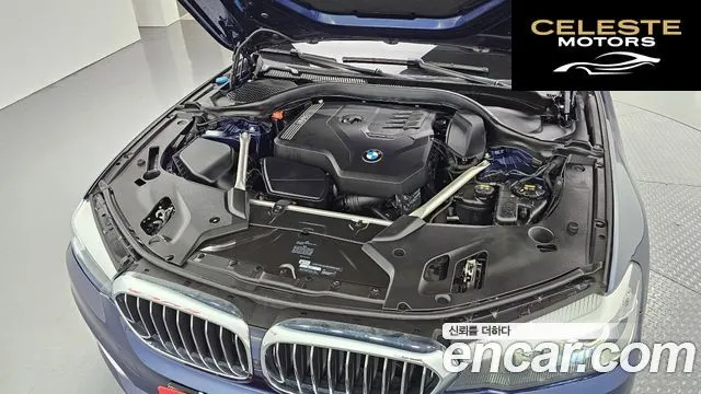 BMW Série 5 (G30) 520i Luxury 2020 — photo 6 sur 20