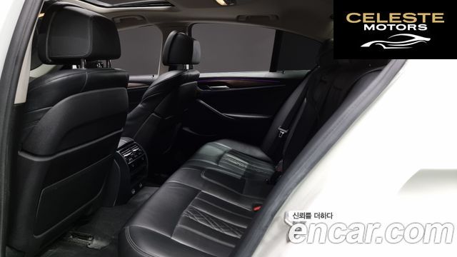 BMW Série 5 (G30) 520d Luxury Plus 2018 — photo 12 sur 20