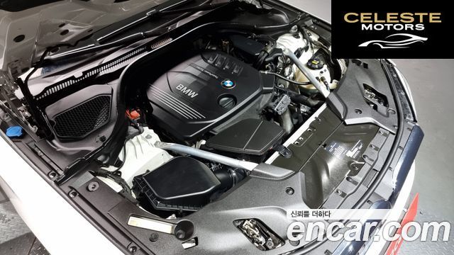 BMW Série 5 (G30) 520d Luxury Plus 2018 — photo 6 sur 20