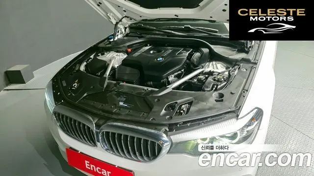 BMW Série 5 (G30) 520i Luxury 2019 — photo 6 sur 20