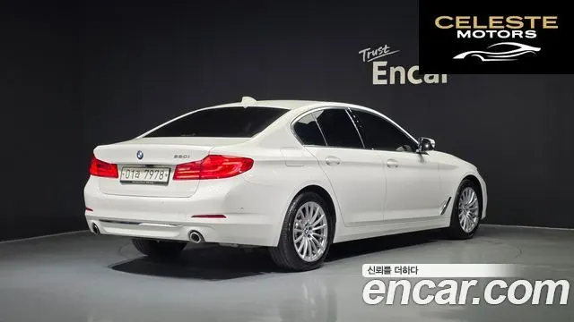 BMW Série 5 (G30) 520i Luxury 2019 — photo 2 sur 20