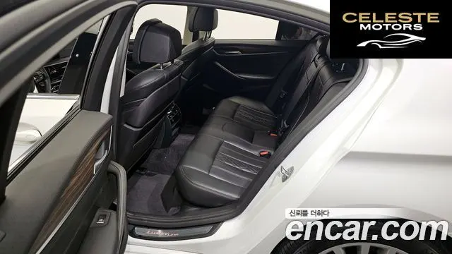 BMW Série 5 (G30) 520d Luxury Plus 2019 — photo 11 sur 20
