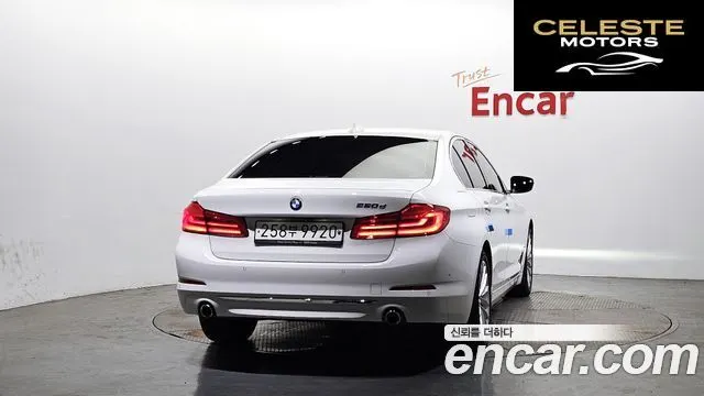 BMW Série 5 (G30) 520d Luxury Plus 2019 — photo 4 sur 20