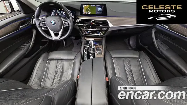 BMW Série 5 (G30) 520d Luxury Plus 2019 — photo 7 sur 20