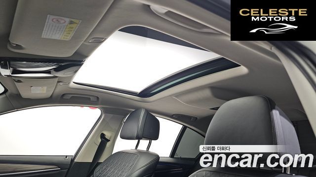 BMW Série 5 (G30) 520d Luxury Plus 2019 — photo 18 sur 20