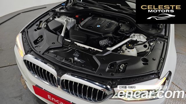 BMW Série 5 (G30) 520d Luxury Plus 2019 — photo 6 sur 20
