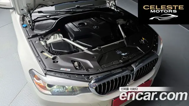 BMW Série 5 (G30) 530i Luxury Plus 2019 — photo 6 sur 20