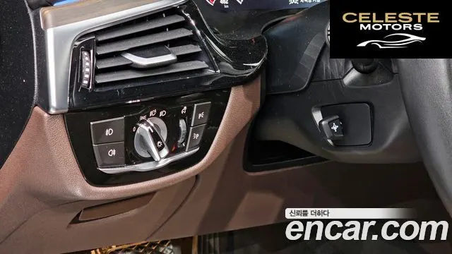 BMW Série 5 (G30) 520d Luxury Plus 2019 — photo 14 sur 20