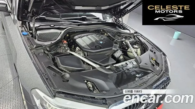 BMW Série 5 (G30) 520d Luxury Plus 2019 — photo 6 sur 20