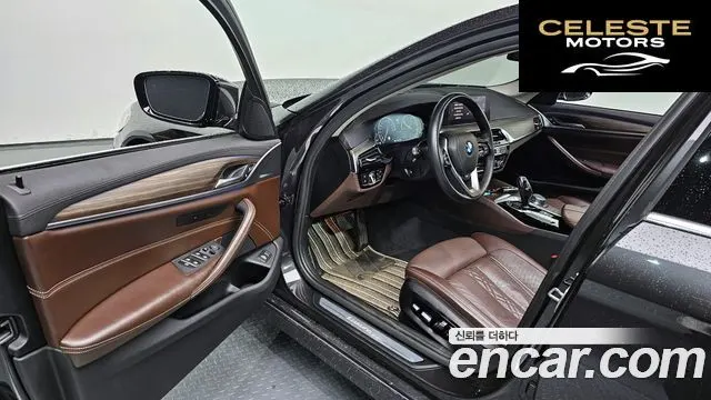 BMW Série 5 (G30) 520d Luxury Plus 2019 — photo 11 sur 20