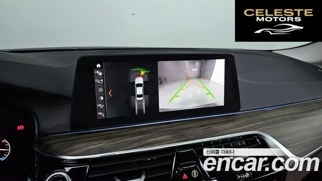 BMW Série 5 (G30) 520d Luxury Plus 2019 — photo 17 sur 20
