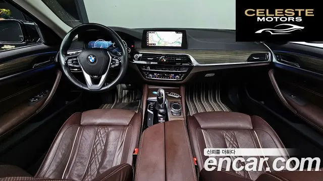 BMW Série 5 (G30) 520d Luxury Plus 2019 — photo 7 sur 20