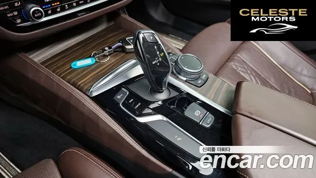 BMW Série 5 (G30) 520d Luxury Plus 2019 — photo 9 sur 20