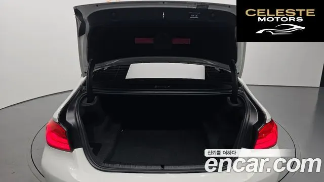 BMW Série 5 (G30) 520i Luxury 2018 — photo 20 sur 20