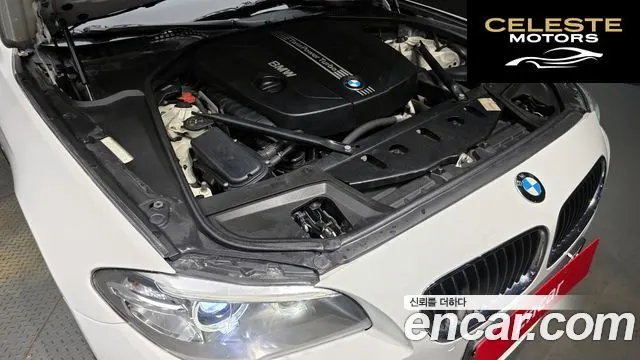 BMW Série 5 (F10) 520d 2013 — photo 6 sur 26