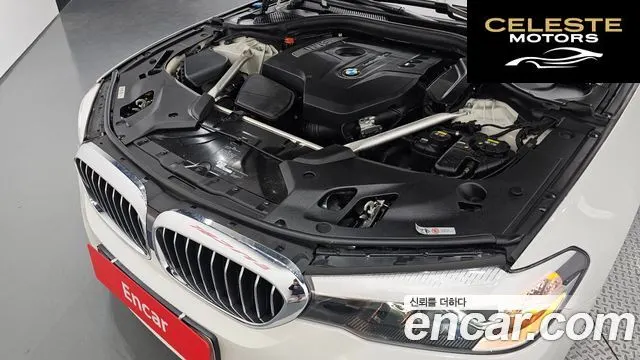BMW Série 5 (G30) 520i Luxury 2018 — photo 6 sur 20