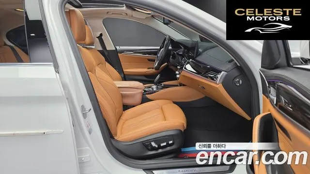 BMW Série 5 (G30) 520i Luxury 2021 — photo 10 sur 20