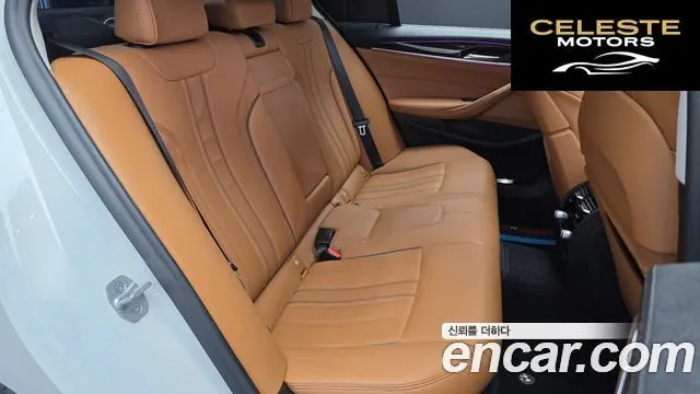 BMW Série 5 (G30) 520i Luxury 2021 — photo 12 sur 20