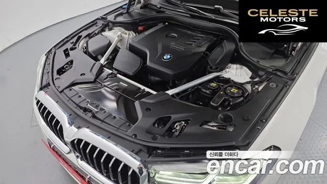 BMW Série 5 (G30) 520i Luxury 2021 — photo 6 sur 20