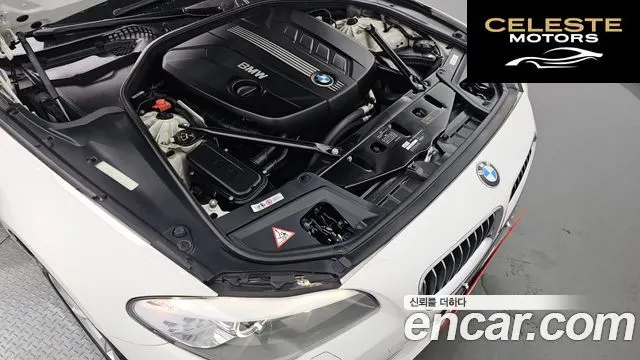 BMW Série 5 (F10) 520d 2011 — photo 6 sur 20