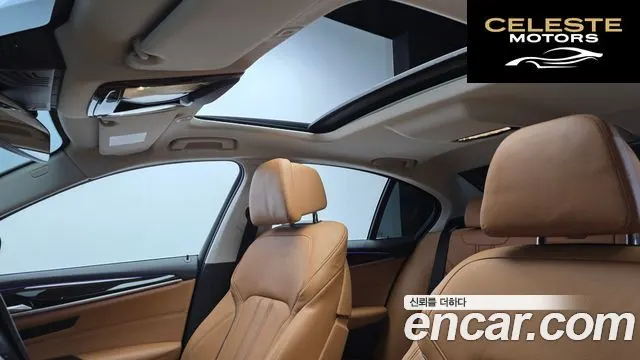 BMW Série 5 (G30) 520i Luxury 2021 — photo 19 sur 20