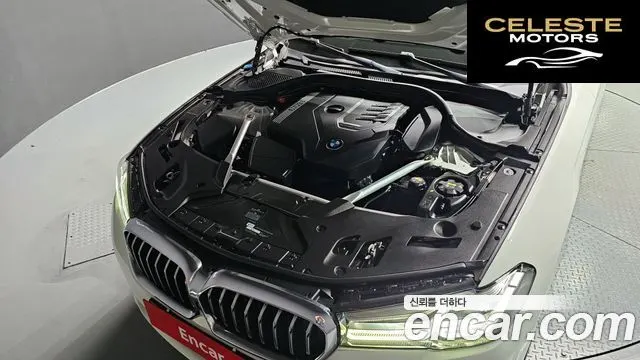 BMW Série 5 (G30) 530i Luxury 2021 — photo 6 sur 20