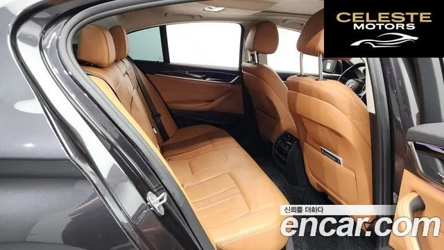 BMW Série 5 (G30) 520i Luxury 2019 — photo 12 sur 26