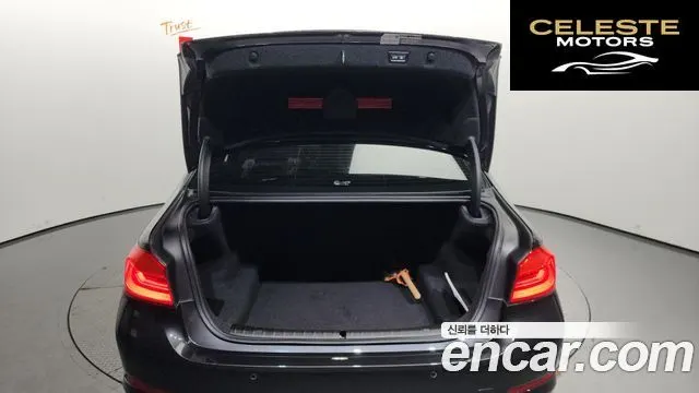 BMW Série 5 (G30) 520i Luxury 2019 — photo 20 sur 26