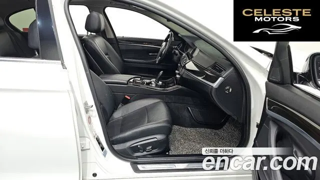 BMW Série 5 (F10) 520d xDrive Luxury 2014 — photo 11 sur 20