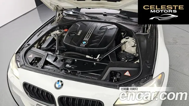 BMW Série 5 (F10) 520d xDrive Luxury 2014 — photo 6 sur 20