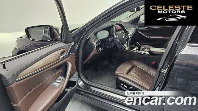 BMW Série 5 (G30) 520d Luxury Plus 2019 — photo 10 sur 20