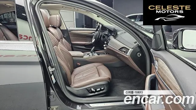 BMW Série 5 (G30) 520d Luxury Plus 2019 — photo 11 sur 20