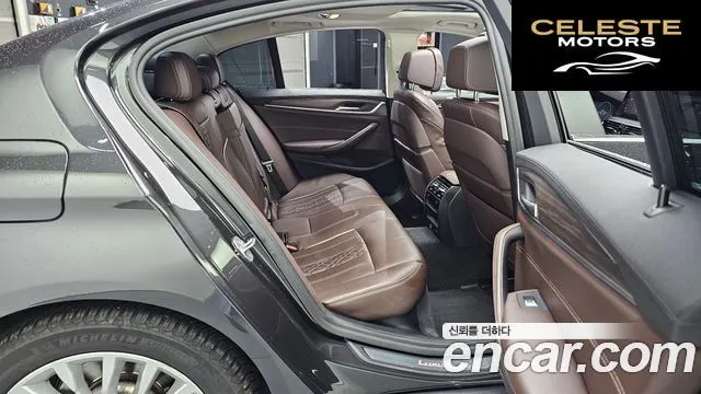 BMW Série 5 (G30) 520d Luxury Plus 2019 — photo 12 sur 20
