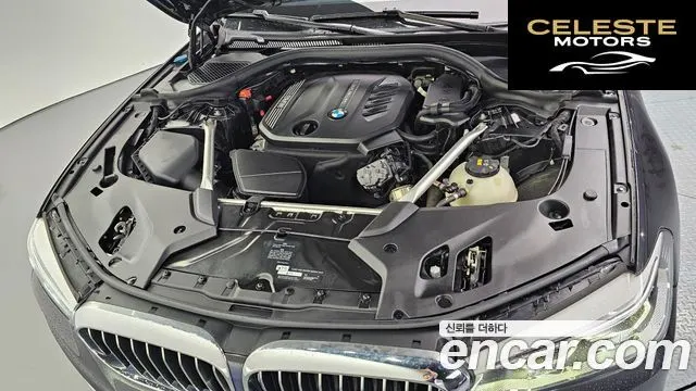 BMW Série 5 (G30) 520d Luxury Plus 2019 — photo 6 sur 20