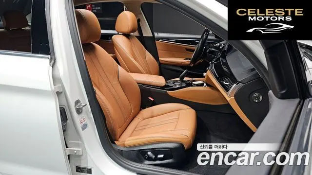 BMW Série 5 (G30) 520d Luxury Spécial Edition 2018 — photo 10 sur 20