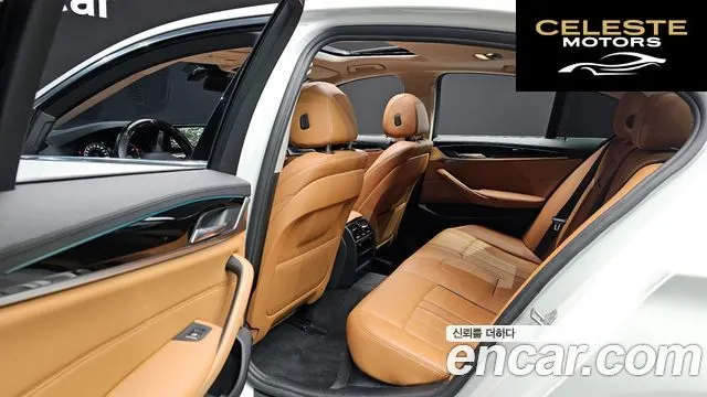 BMW Série 5 (G30) 520d Luxury Spécial Edition 2018 — photo 12 sur 20