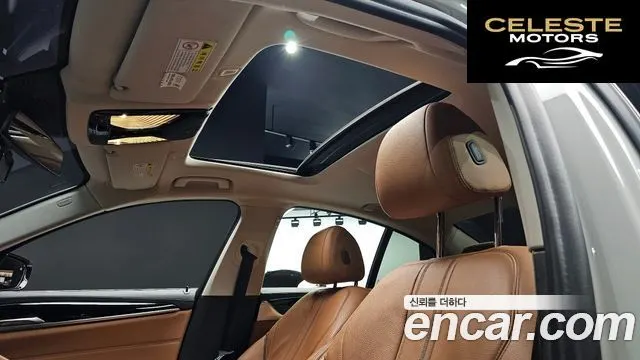 BMW Série 5 (G30) 520d Luxury Spécial Edition 2018 — photo 19 sur 20