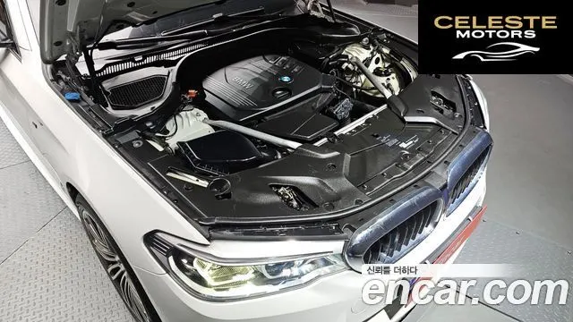 BMW Série 5 (G30) 520d Luxury Spécial Edition 2018 — photo 6 sur 20