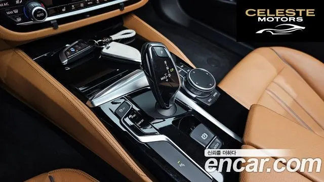 BMW Série 5 (G30) 520d Luxury Spécial Edition 2018 — photo 9 sur 20