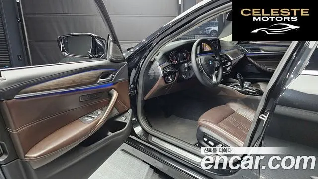 BMW Série 5 (G30) 520d xDrive Luxury Plus 2020 — photo 10 sur 20