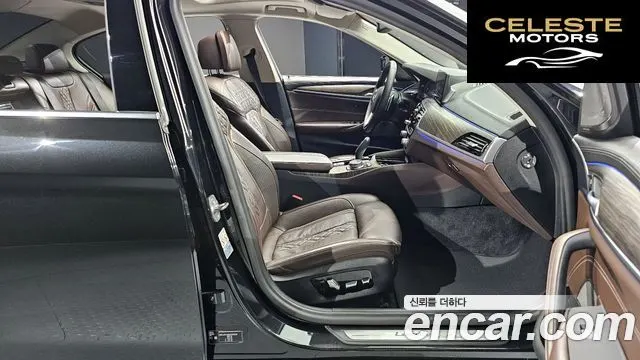 BMW Série 5 (G30) 520d xDrive Luxury Plus 2020 — photo 11 sur 20