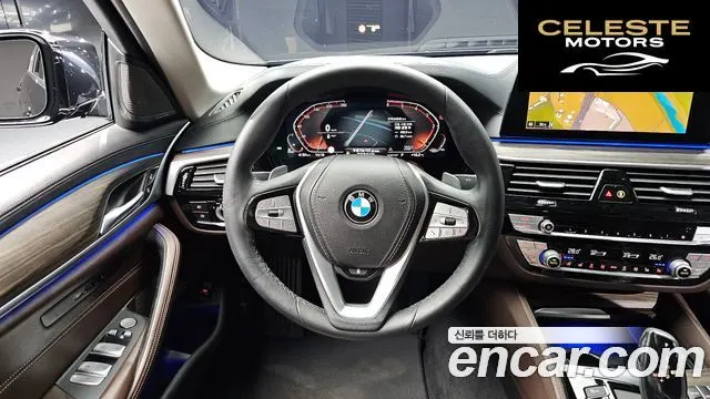 BMW Série 5 (G30) 520d xDrive Luxury Plus 2020 — photo 13 sur 20