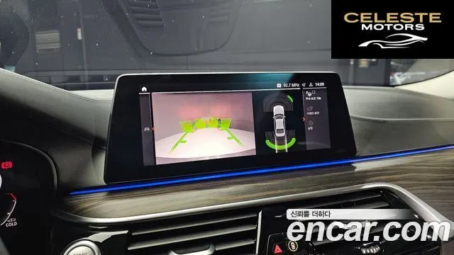 BMW Série 5 (G30) 520d xDrive Luxury Plus 2020 — photo 16 sur 20