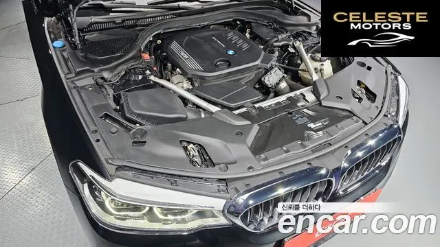 BMW Série 5 (G30) 520d xDrive Luxury Plus 2020 — photo 6 sur 20