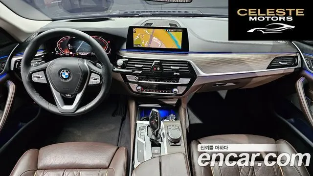 BMW Série 5 (G30) 520d xDrive Luxury Plus 2020 — photo 7 sur 20
