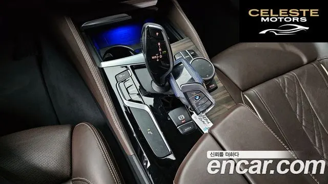 BMW Série 5 (G30) 520d xDrive Luxury Plus 2020 — photo 9 sur 20