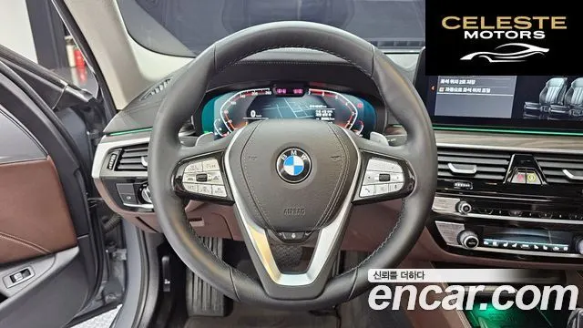 BMW Série 5 (G30) 530i xDrive Luxury 2023 — photo 13 sur 20