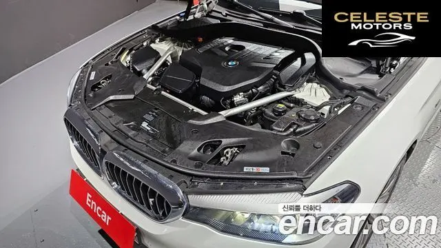 BMW Série 5 (G30) 520i Luxury 2018 — photo 6 sur 20